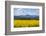 View of Perthshire Mountains and Rape field (Brassica napus) in foreground, Scotland, United Kingdo-John Guidi-Framed Photographic Print