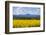 View of Perthshire Mountains and Rape field (Brassica napus) in foreground, Scotland, United Kingdo-John Guidi-Framed Photographic Print