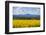 View of Perthshire Mountains and Rape field (Brassica napus) in foreground, Scotland, United Kingdo-John Guidi-Framed Photographic Print