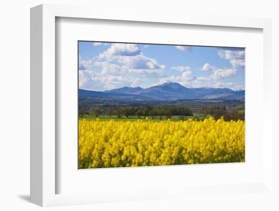 View of Perthshire Mountains and Rape field (Brassica napus) in foreground, Scotland, United Kingdo-John Guidi-Framed Photographic Print