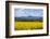 View of Perthshire Mountains and Rape field (Brassica napus) in foreground, Scotland, United Kingdo-John Guidi-Framed Photographic Print