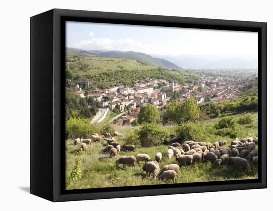 View of Pescina, Abruzzi, Italy, Europe-Oliviero Olivieri-Framed Premier Image Canvas