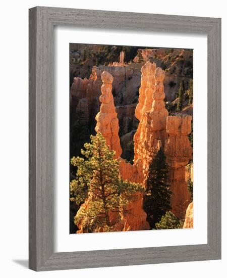 View of Pinnacle at Bryce Canyon National Park, Utah, USA-Scott T. Smith-Framed Photographic Print