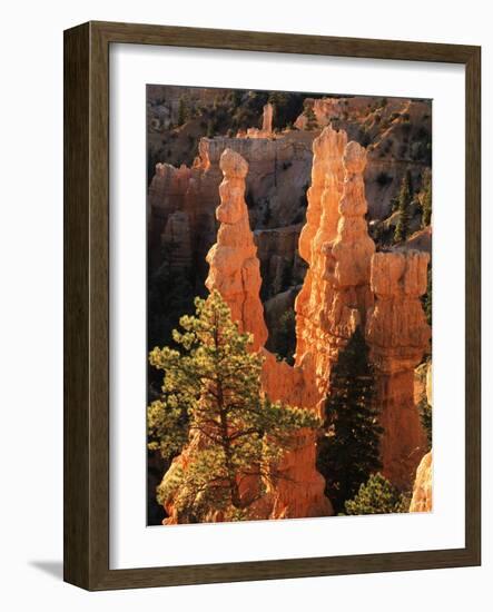 View of Pinnacle at Bryce Canyon National Park, Utah, USA-Scott T. Smith-Framed Photographic Print