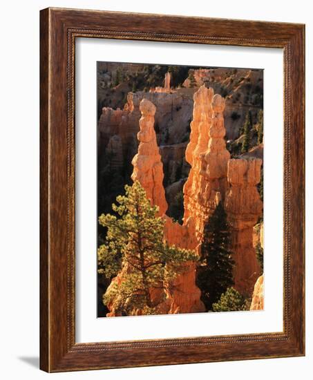 View of Pinnacle at Bryce Canyon National Park, Utah, USA-Scott T. Smith-Framed Photographic Print