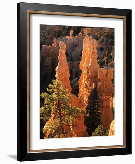 View of Pinnacle at Bryce Canyon National Park, Utah, USA-Scott T. Smith-Framed Photographic Print