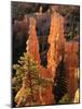 View of Pinnacle at Bryce Canyon National Park, Utah, USA-Scott T. Smith-Mounted Photographic Print