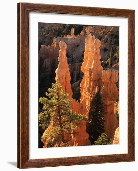 View of Pinnacle at Bryce Canyon National Park, Utah, USA-Scott T. Smith-Framed Photographic Print