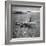 View of Plane Designed and Built by Howard R. Hughes-J^ R^ Eyerman-Framed Photographic Print