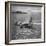 View of Plane Designed and Built by Howard R. Hughes-J^ R^ Eyerman-Framed Photographic Print