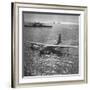 View of Plane Designed and Built by Howard R. Hughes-J. R. Eyerman-Framed Photographic Print