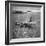 View of Plane Designed and Built by Howard R. Hughes-J^ R^ Eyerman-Framed Photographic Print