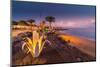 View of Playa Grande at dusk, Puerto Carmen, Lanzarote, Las Palmas-Frank Fell-Mounted Photographic Print