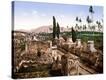 Stretched Canvas Print