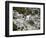 View of Port-Au-Prince, Haiti, after a Magnitude 7 Earthquake Hit the Country-null-Framed Photographic Print
