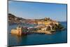 View of Portoferraio, Province of Livorno, on the island of Elba-null-Mounted Photographic Print