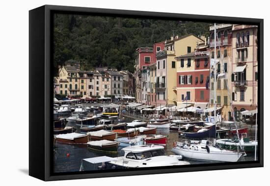 View of Portofino, Liguria, Italy, Mediterranean, Europe-Oliviero Olivieri-Framed Premier Image Canvas