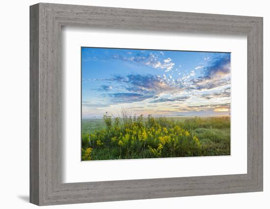 View of prairie, Prairie Ridge State Natural Area, Marion Co., Illinois, USA-Panoramic Images-Framed Photographic Print