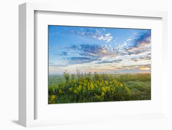 View of prairie, Prairie Ridge State Natural Area, Marion Co., Illinois, USA-Panoramic Images-Framed Photographic Print