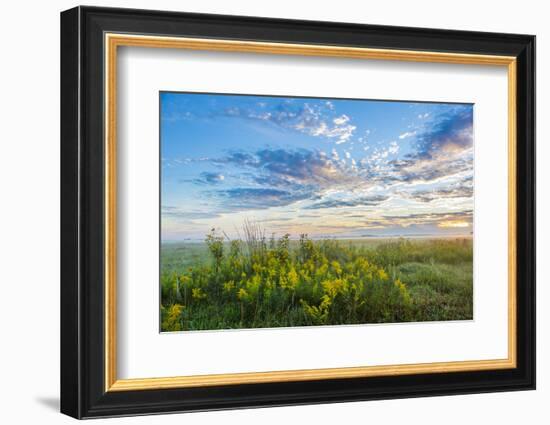 View of prairie, Prairie Ridge State Natural Area, Marion Co., Illinois, USA-Panoramic Images-Framed Photographic Print