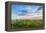 View of prairie, Prairie Ridge State Natural Area, Marion Co., Illinois, USA-Panoramic Images-Framed Premier Image Canvas