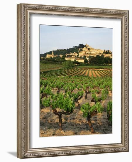 View of Provence Vineyard, Luberon, Bonnieux, Vaucluse, France-David Barnes-Framed Photographic Print