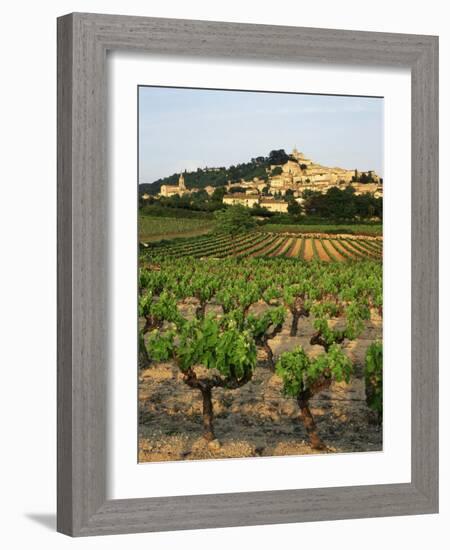 View of Provence Vineyard, Luberon, Bonnieux, Vaucluse, France-David Barnes-Framed Photographic Print