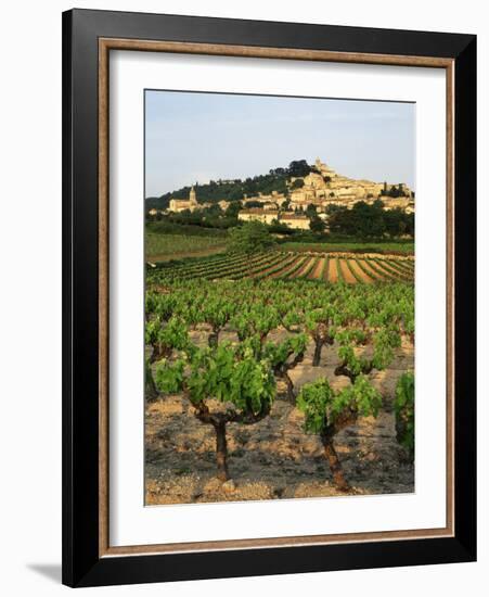 View of Provence Vineyard, Luberon, Bonnieux, Vaucluse, France-David Barnes-Framed Photographic Print