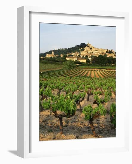 View of Provence Vineyard, Luberon, Bonnieux, Vaucluse, France-David Barnes-Framed Photographic Print