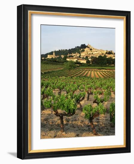 View of Provence Vineyard, Luberon, Bonnieux, Vaucluse, France-David Barnes-Framed Photographic Print