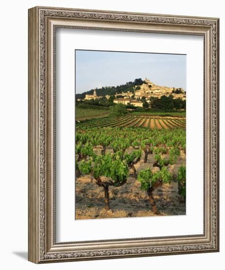 View of Provence Vineyard, Luberon, Bonnieux, Vaucluse, France-David Barnes-Framed Photographic Print