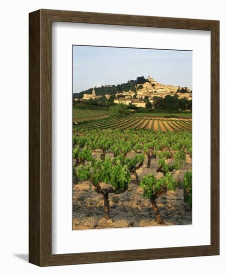 View of Provence Vineyard, Luberon, Bonnieux, Vaucluse, France-David Barnes-Framed Photographic Print
