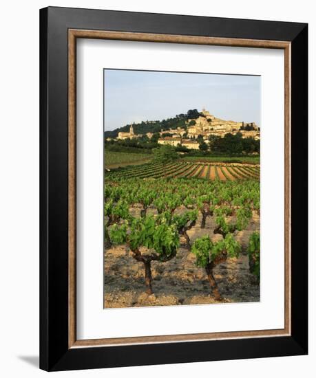 View of Provence Vineyard, Luberon, Bonnieux, Vaucluse, France-David Barnes-Framed Photographic Print