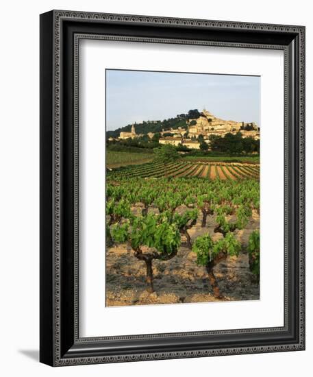 View of Provence Vineyard, Luberon, Bonnieux, Vaucluse, France-David Barnes-Framed Photographic Print