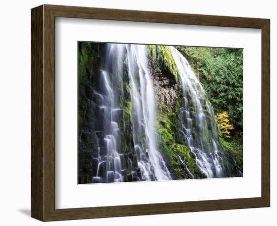 View of Proxy Falls at Mckenzie Pass, Deschutes National Forest, Oregon, USA-Stuart Westmorland-Framed Photographic Print