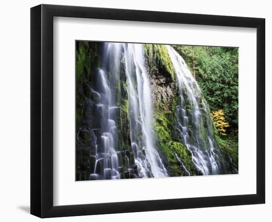 View of Proxy Falls at Mckenzie Pass, Deschutes National Forest, Oregon, USA-Stuart Westmorland-Framed Photographic Print