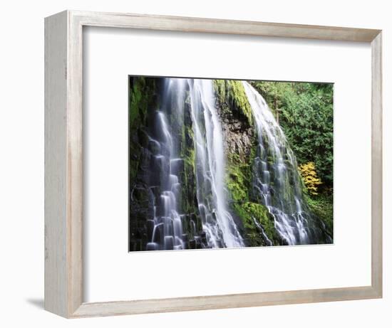 View of Proxy Falls at Mckenzie Pass, Deschutes National Forest, Oregon, USA-Stuart Westmorland-Framed Photographic Print