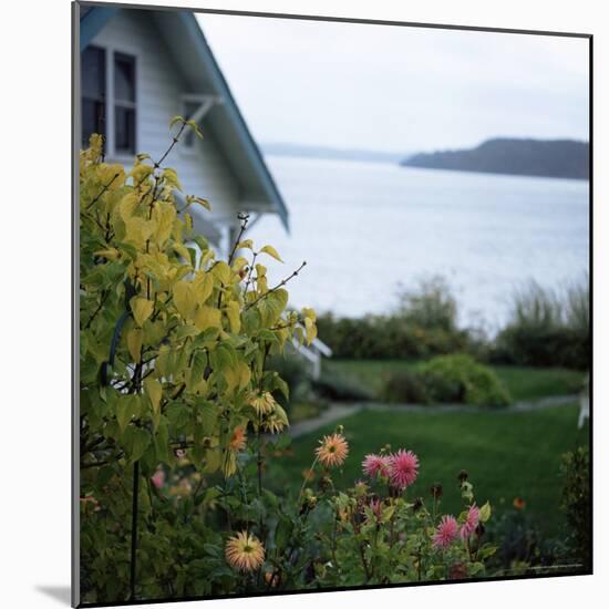 View of Puget Sound, Vashon Island, Washington State, USA-Aaron McCoy-Mounted Photographic Print