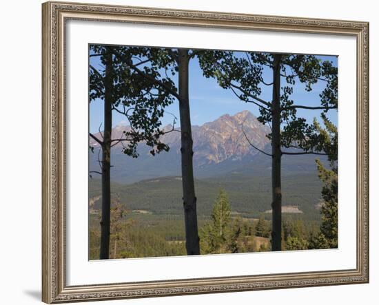 View of Pyramid Mountain Through Trees, Jasper National Park, UNESCO World Heritage Site, British C-Martin Child-Framed Photographic Print