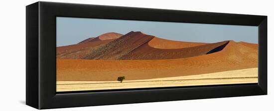 View of Red Dunes, Sossusvlei, Namib Desert, Namib-Naukluft National Park, Namibia-null-Framed Stretched Canvas