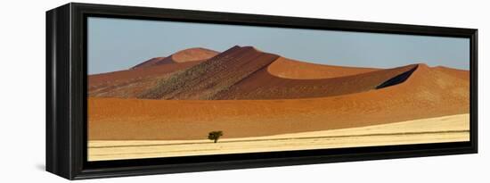 View of Red Dunes, Sossusvlei, Namib Desert, Namib-Naukluft National Park, Namibia-null-Framed Stretched Canvas