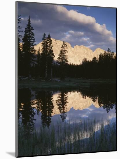 View of Reflecting Mountain in Bear River, High Uintas Wilderness, Utah, USA-Scott T. Smith-Mounted Photographic Print