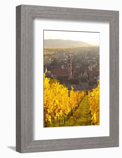 View of Riquewihr and Vineyards in Autumn, Riquewihr, Alsace, France, Europe-Miles Ertman-Framed Photographic Print