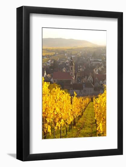 View of Riquewihr and Vineyards in Autumn, Riquewihr, Alsace, France, Europe-Miles Ertman-Framed Photographic Print