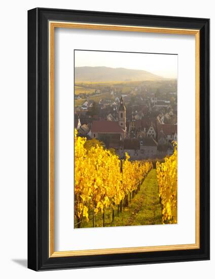 View of Riquewihr and Vineyards in Autumn, Riquewihr, Alsace, France, Europe-Miles Ertman-Framed Photographic Print