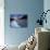 View of River and Landscape, Arctic National Wildlife Refuge, Alaska, USA-Art Wolfe-Photographic Print displayed on a wall