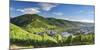 View of River Moselle and Bernkastel-Kues, Rhineland-Palatinate, Germany-Ian Trower-Mounted Photographic Print