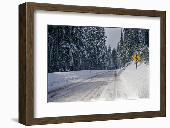 View of road between forest at winter day-Panoramic Images-Framed Photographic Print