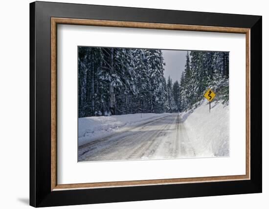 View of road between forest at winter day-Panoramic Images-Framed Photographic Print