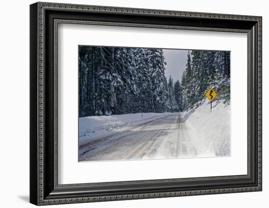 View of road between forest at winter day-Panoramic Images-Framed Photographic Print